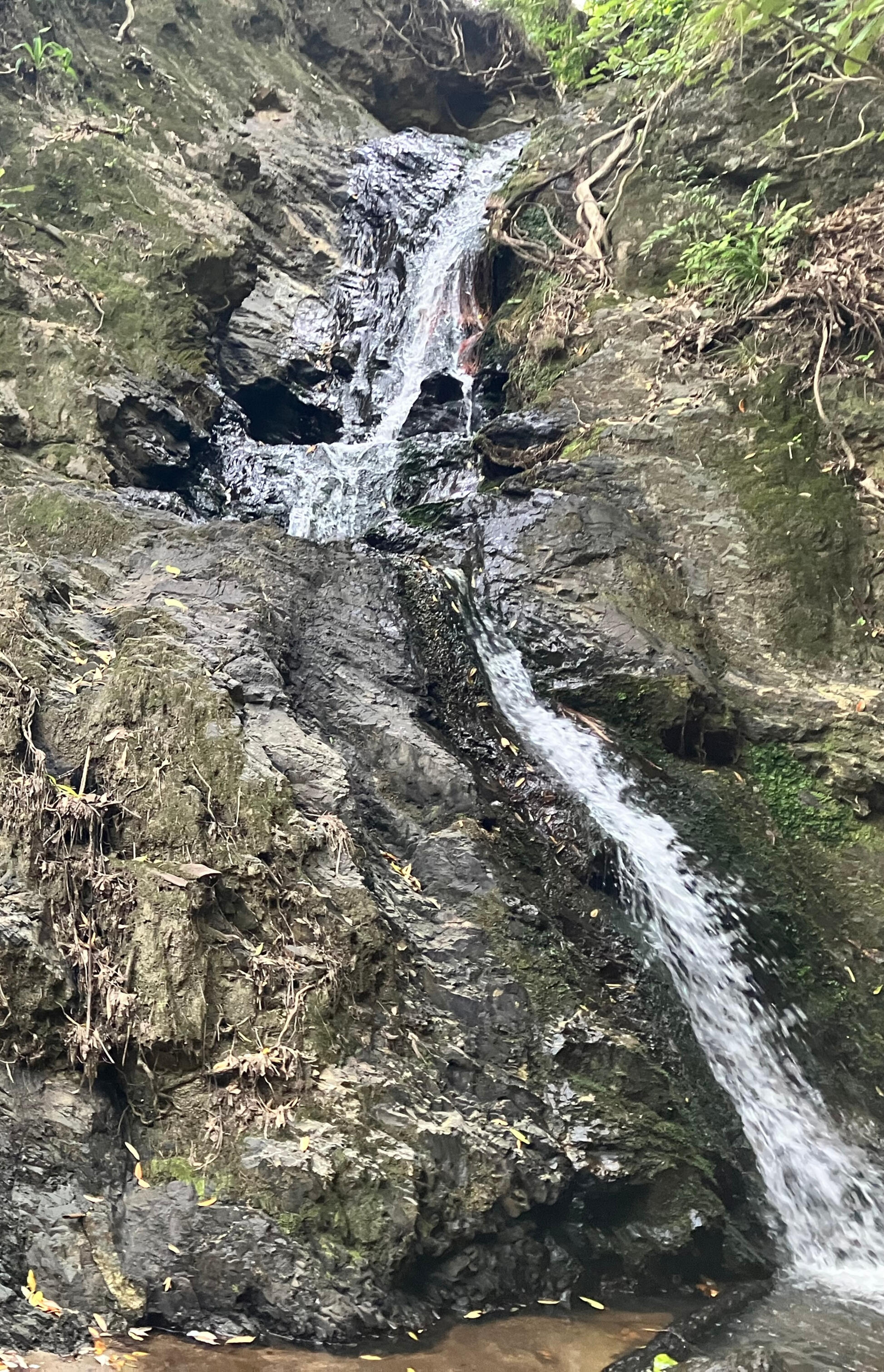 Waterfall in the Whakatāne district symbolizing regional development and local projects creating momentum